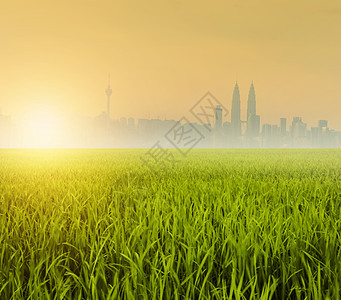 吉隆坡横跨稻田图片