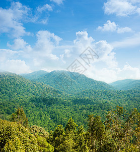 热带森林山景图片
