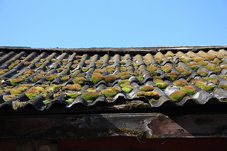 屋顶上的苔藓和蓝天 对比美丽图片