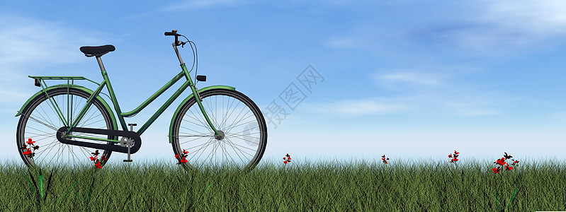 绿色女士自行车 - 3D图片