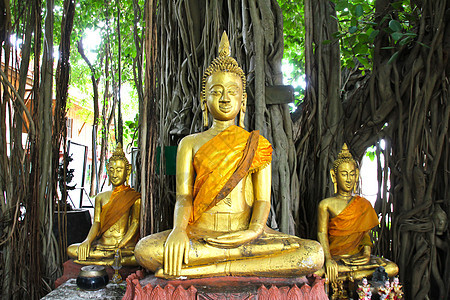 泰兰Suphanburi的Wat Kae寺美丽的佛像图片