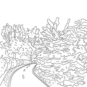 公园道路和树木 图形黑白地貌草图图片