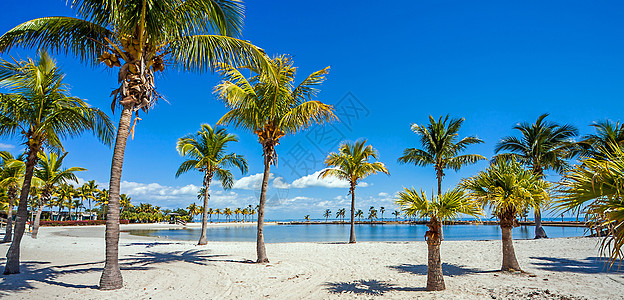 佛罗里达州马西森哈默克县公园迈阿密环形海滩自然公园教育旅行梦想公园中心椰子闲暇沙滩假期图片