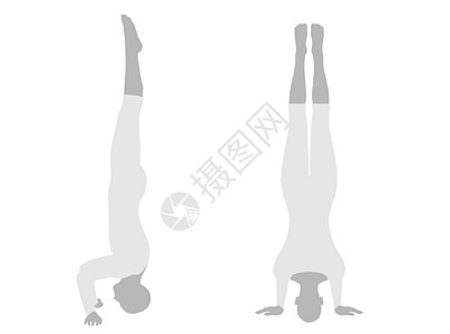 瑜伽 Pos 的插图健身房眼镜蛇女性数字冥想身体运动姿势女士黑色图片