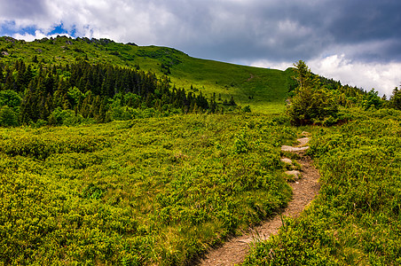 穿过山脊的河道场景巨石绿色旅行顶峰上坡冒险踪迹远足旅游图片