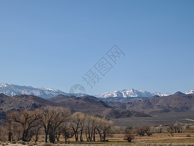 雪盖的山峰 蓝天空 沙漠景观爬坡松树干旱白色旅行蓝色风景天空树木图片
