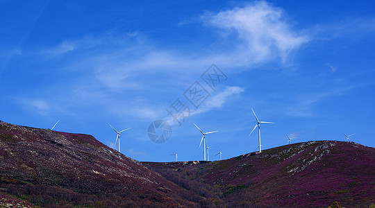 拉凡德山上的风涡轮薰衣草燃料环境保护蓝色发电机场地紫色云景活力天空图片