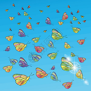 蝴蝶在天上 自由的概念图片