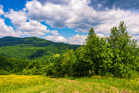 山区夏季地貌的乡村田间公路和农村道路国家小路森林戏剧性天气草地季节紫色场地环境图片