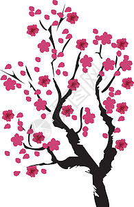 矢量樱花花朵植物粉色花园花瓣白色鸟类艺术插图季节背景图片
