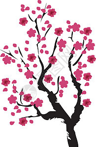 矢量樱花花朵植物粉色花园花瓣白色鸟类艺术插图季节图片