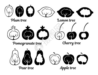 果树概念图标图片