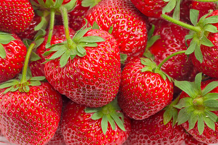 草莓水果特写的背景背景  info tooltip花园菜肴浆果甜点植物香气农业草莓食物收成图片