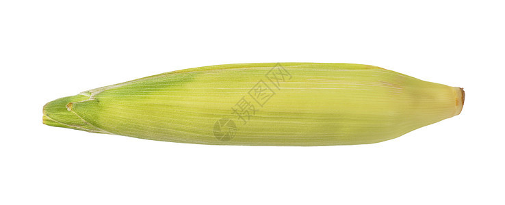 新鲜玉米耳朵高架棒子玉米芯食物蔬菜图片