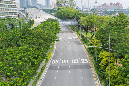 在公共公园中用树把道路弯曲注意力写作操作信号场景安全速度危险说明旅游图片