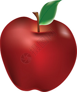 红苹果 有叶叶绿色水果植物白色叶子节食甜点饮食食物农业图片