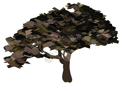 树木剪影的插图木本木质树干冒充植物群裸子植物分支机构阴影被子图片
