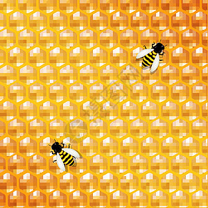 蜜蜂背景和蜜蜂图片