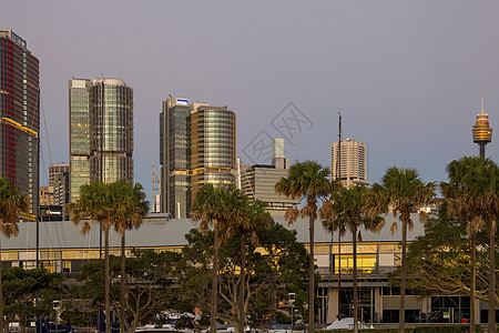 悉尼 生物多样性公约 的摩天大楼和悉尼塔都从皮蒙特市(Pyrmont)出现图片