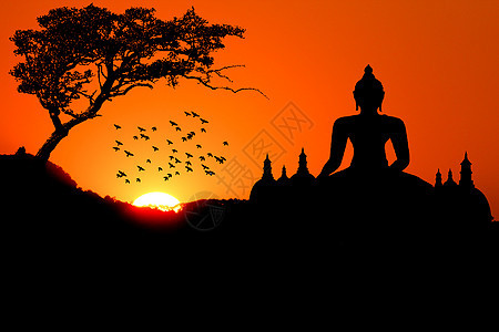 日落 有佛树鸟和塔阳光太阳冥想文化天空佛教徒雕塑地标宗教宝塔图片
