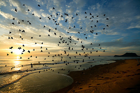 早晨鸟儿在海面上飞翔地平线日落海洋飞行海鸥太阳橙子野生动物航班天空图片