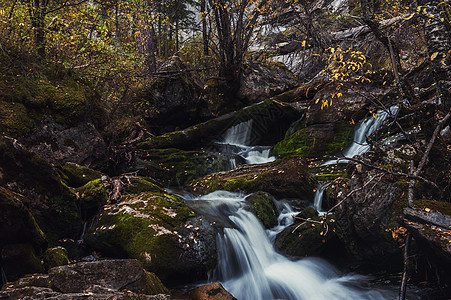 申科河瀑布石头公园苔藓环境墙纸岩石运动溪流叶子画报图片