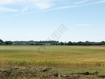 开户农民田地种植全作物村庄场地天蓝色乡村牧场玉米天空地面纬线小麦图片