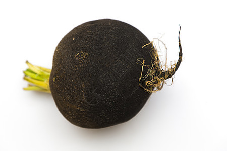 黑色西班牙拉迪什在白色 黑色拉迪什萝卜蔬菜食物圆形沙拉营养健康烹饪黑萝卜图片