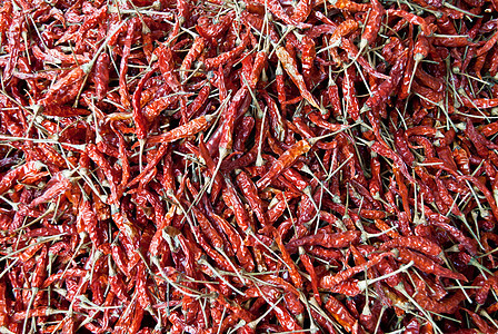 红辣椒是素描食物背景的图象蔬菜墙纸饮食宏观美食厨师香料胡椒草本植物辣椒背景图片