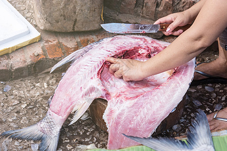 女人的手在鱼市上割开一条鱼图片