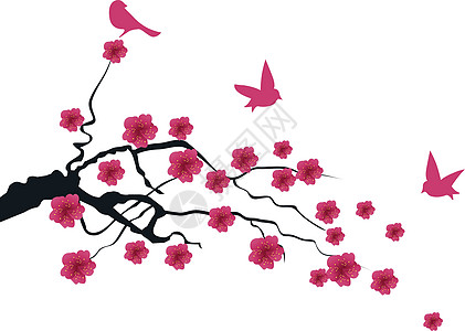 矢量樱花插图艺术粉色白色植物鸟类花园花朵花瓣季节背景图片