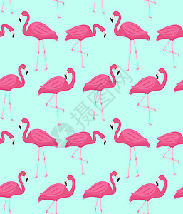 粉红色的火烈鸟无缝模式 夏季热带无尽背景重复纹理 矢量图装饰异国白色野生动物艺术风格织物打印荒野纺织品图片