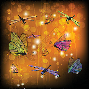蝴蝶和蜻蜓与透明动物绘画野生动物火花艺术耀斑星星水彩插图线条图片