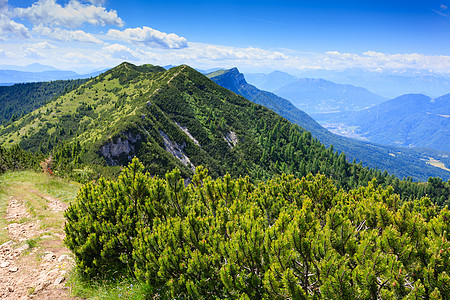 意大利 山地全景针叶树远足绿色岩石山松开放松树树木空间小路图片