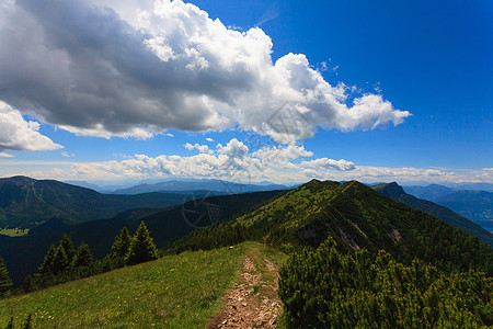 意大利 山地全景开放空间天空小路松树绿色山松岩石远足蓝天图片