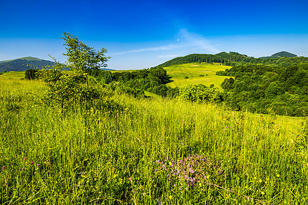 山区的农耕田国家森林衬套村庄天空乡村风景植物山坡绿色背景图片