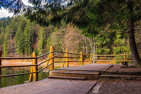 在森林附近的山湖码头上栅栏池塘旅游顶峰公园木头码头旅行休息反射图片