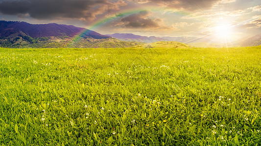 日落时山边的青草原图片