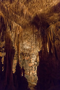 Dripstone 洞穴游荡者 Drach 马洛卡旅行吸引力风景地面石头游客岩石荒野观光悬崖图片