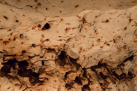 Dripstone 洞穴游荡者 Drach 马洛卡岩石风景地面石头石笋旅游洞穴学矿物质荒野观光图片