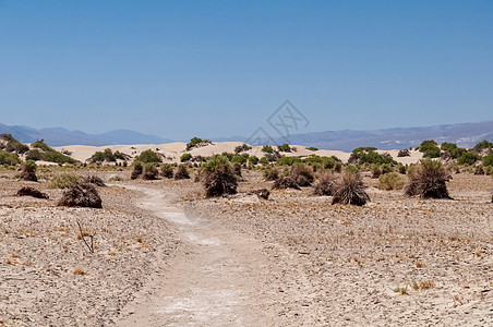 死亡谷公园干旱阳光地质学沙丘沙漠荒野海浪死亡晴天图片