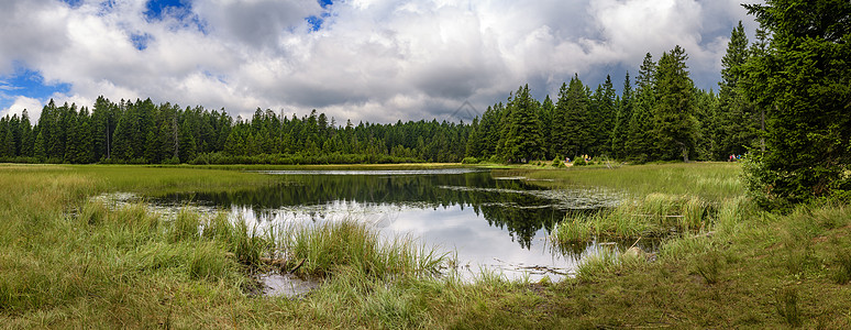 斯洛文尼亚波霍耶的黑湖松树踪迹池塘小路沼泽娱乐远足地标图片