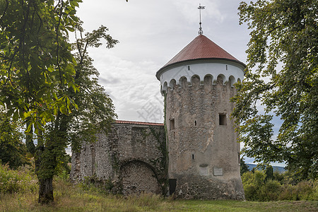 KalcKalec城堡 Pivka Slo的观测台和中世纪废墟地标石头据点地牢旅行建筑天空遗迹吸引力风景图片