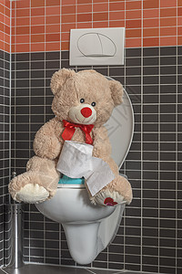 玩具泰迪熊坐在洗手间厕所碗上 儿童便壶孩子卫生间白色训练孩子们动物童年浴室地面家庭图片