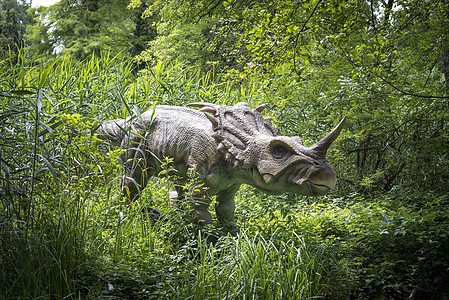 恐龙捕食者树木动物侏罗纪公园眼睛森林野生动物古生物学灭绝图片