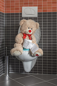 玩具泰迪熊坐在洗手间厕所碗上 儿童便壶童年孩子们白色卫生间训练棕色如厕地面家庭浴室图片