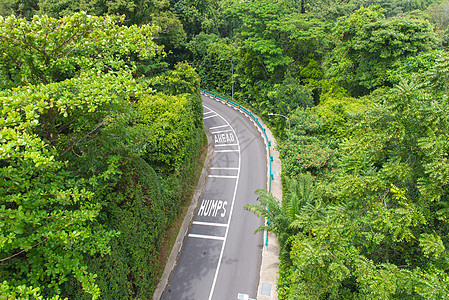 在公共公园里用树来弯曲道路的顶端景象旅游警告车道曲线场景信号操作说明森林假期图片