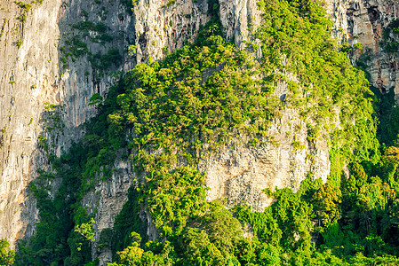 落岩悬崖 绿树 亚莎图片