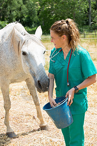 农场兽医情况咨询药品女性医生小牛动物微笑家畜考试图片