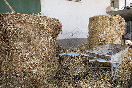 谷仓里一大堆干草独轮车牛肉草棚牛棚奶牛摊位农场家畜图片